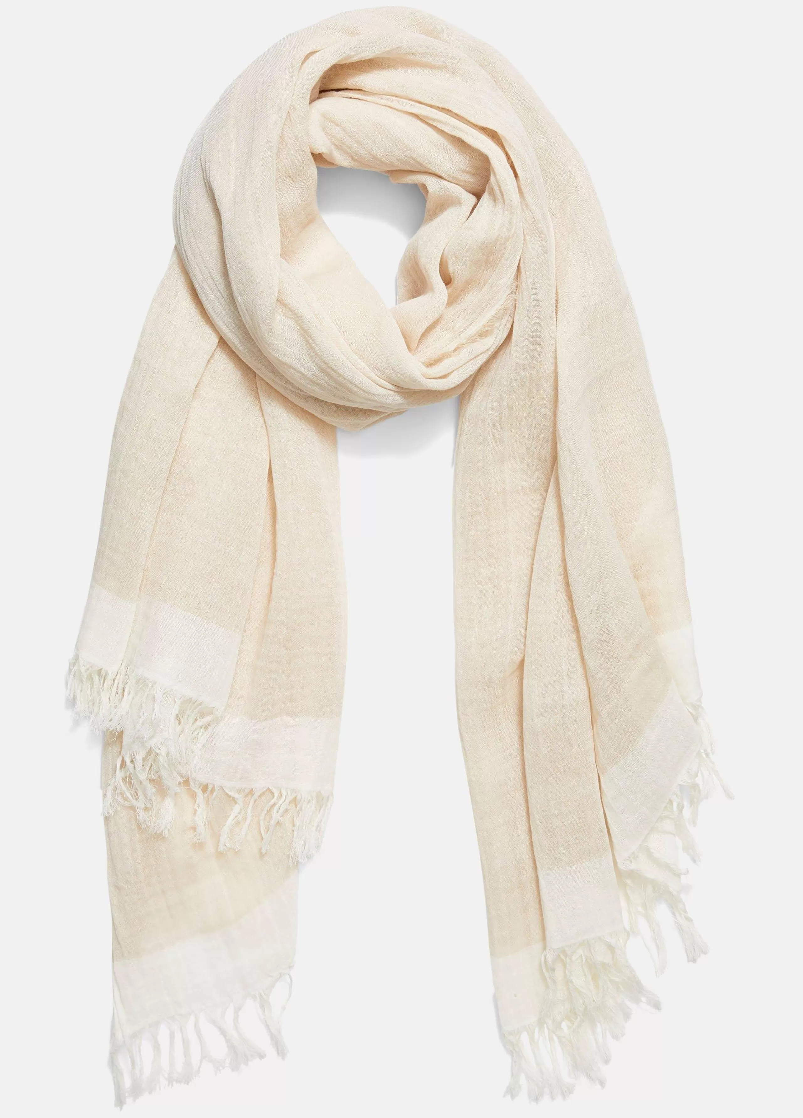 Women Vince Border-Stripe Cotton Scarf